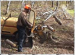 stump grinding operator